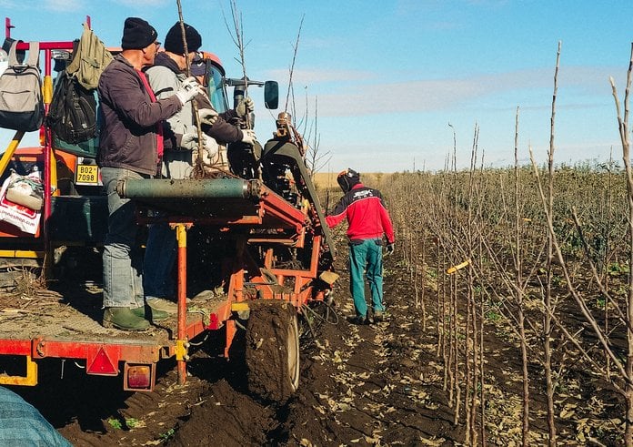 04_Kofola už stihla i vysázet nové hořkosladké odrůdy jablek pro výrobu ciderů (5)