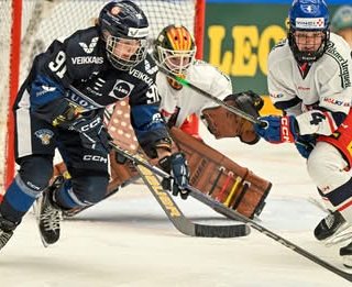 Lvice s Finkami prohrály