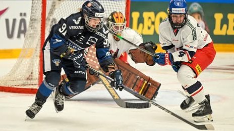 Lvice s Finkami prohrály