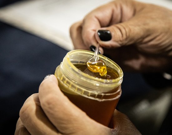 19.04.2023_-_Concurso_do_mel_-_Foto_Michel_Corvello_(28)_(52832325051)