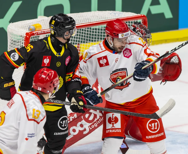Mountfield schytal s Brynäs bůra