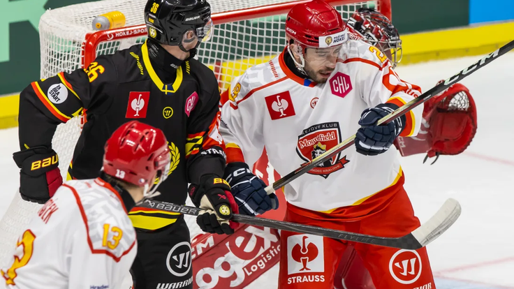 Mountfield schytal s Brynäs bůra