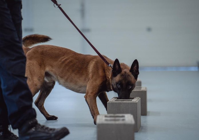 2025-11-19-928HER25FEN-0281