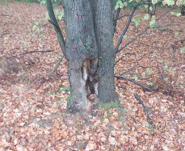 místo těžby v Klimkovicích na Ostravsku