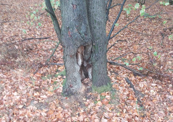 místo těžby v Klimkovicích na Ostravsku