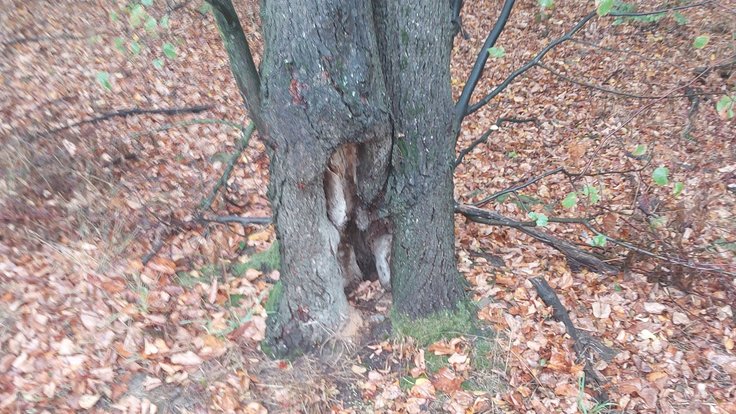 místo těžby v Klimkovicích na Ostravsku