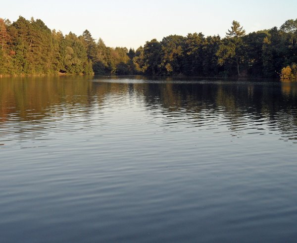 Velký rybník