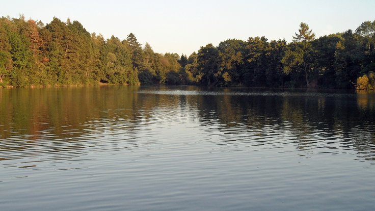 Velký rybník