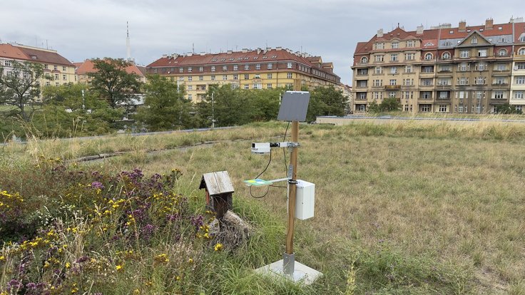 PVK se připojily k monitoringu hmyzu pomocí umělé inteligence