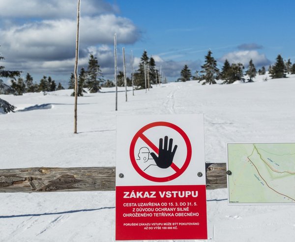 Krkonošský národní park