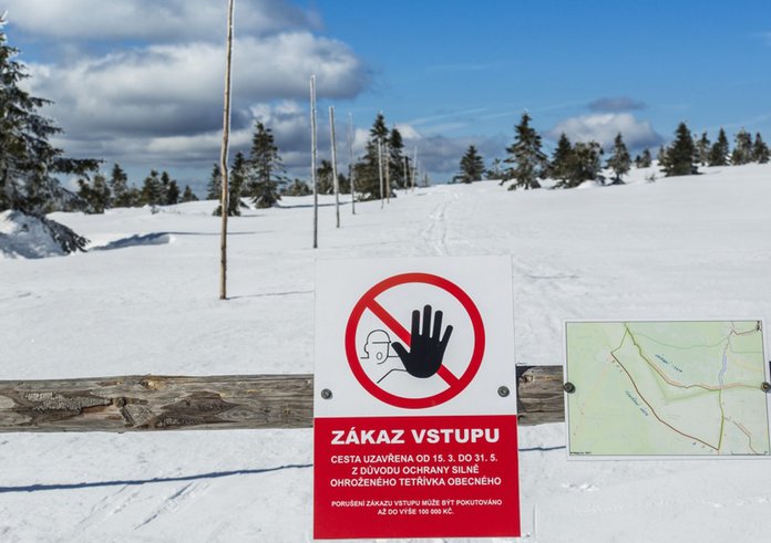 Krkonošský národní park