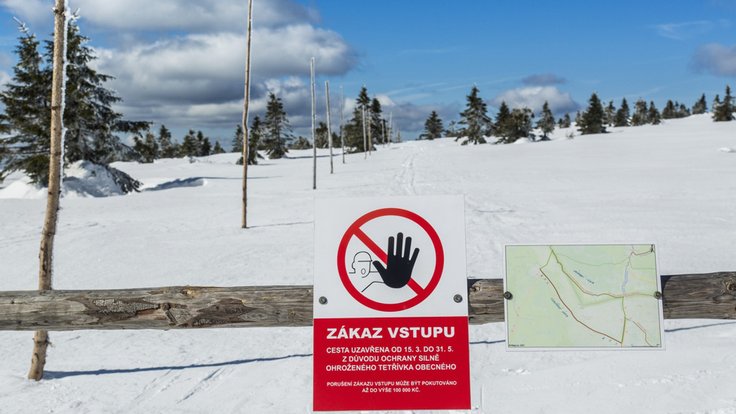 Krkonošský národní park