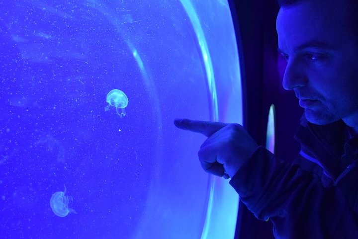 325415299_3384938741820352_4527005914307893506_n