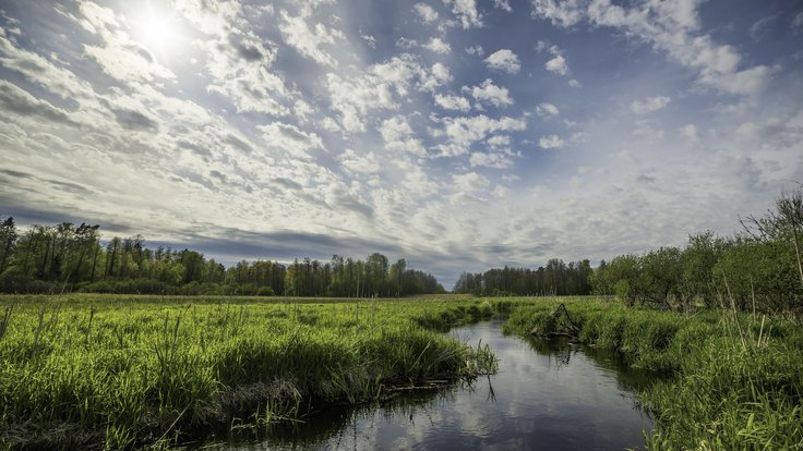 34852773581-russia-spring-russian-north-may-2017