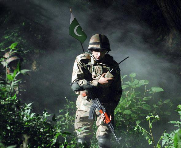 36618717831_b849d6b7f4_c (1)