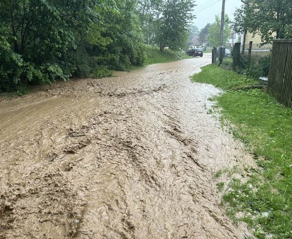 444964823_8040248222655024_3471368960677753474_n