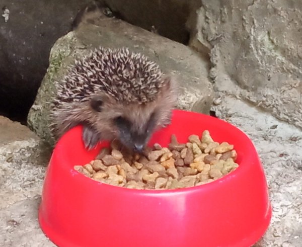 45d0be29-610a-4c77-82c3-7aa8b620313f