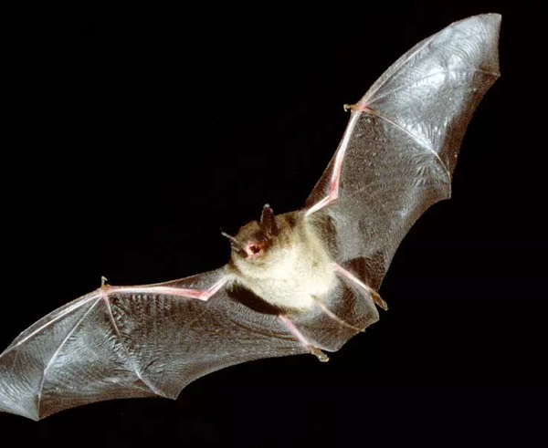 46f3cbe2-9727-4871-a48d-7db4d70a1601