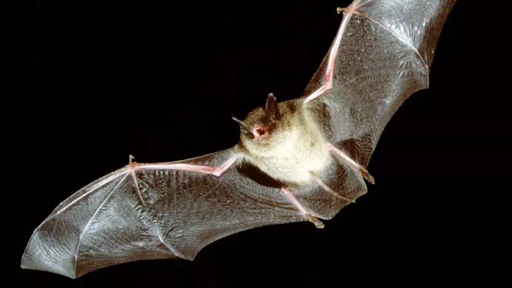 46f3cbe2-9727-4871-a48d-7db4d70a1601