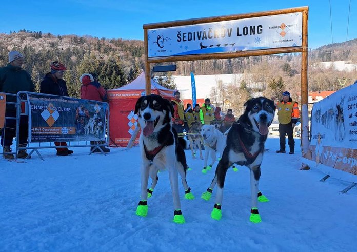 474578555_1213438247452343_3412251885769001337_n