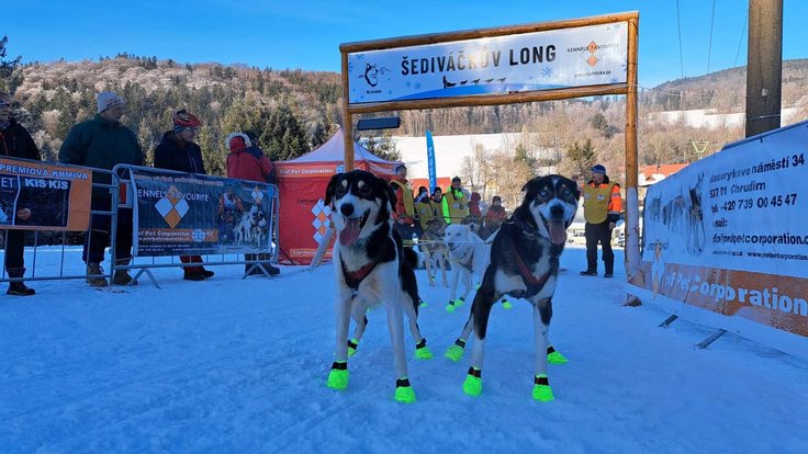 474578555_1213438247452343_3412251885769001337_n