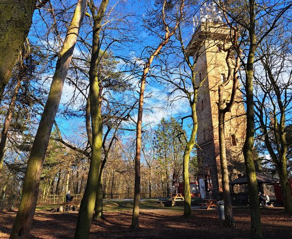 484298563_1152481496673656_7022362597609055876_n