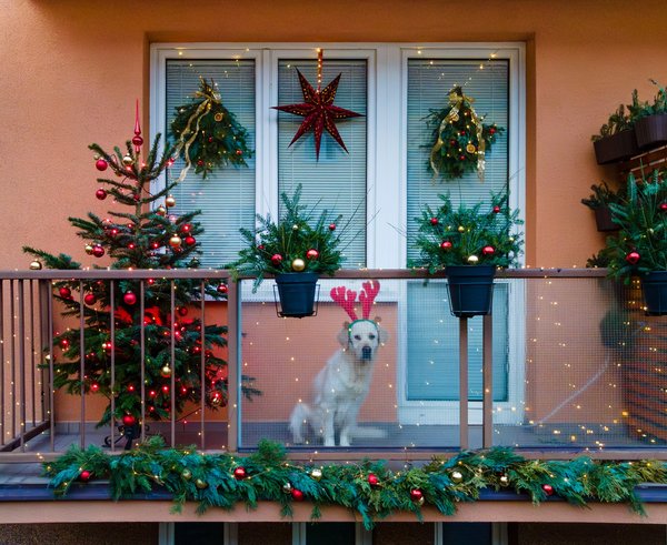 486454702_631312879537612_3333659793152586494_n