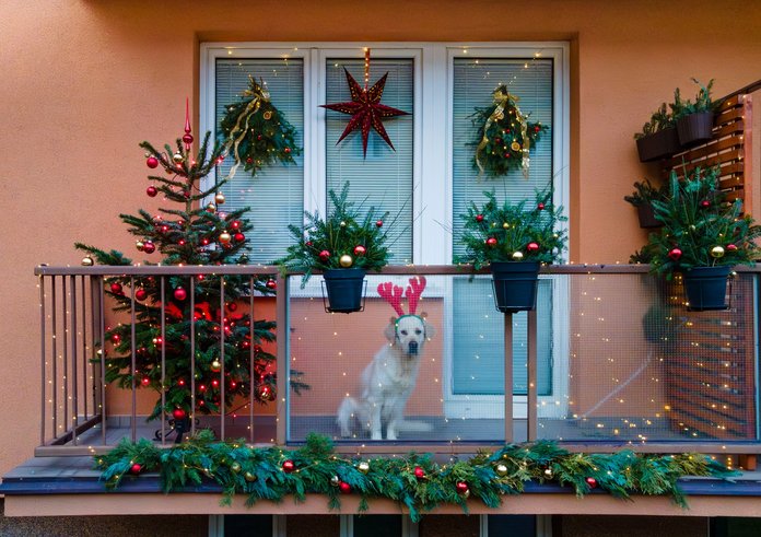 486454702_631312879537612_3333659793152586494_n