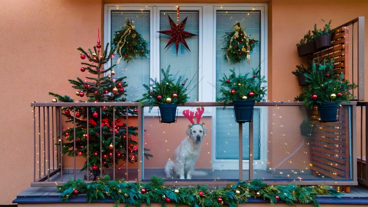 486454702_631312879537612_3333659793152586494_n