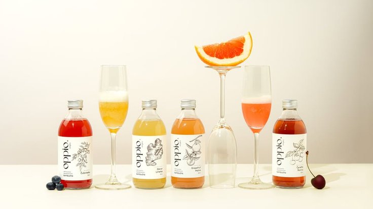 499573440_122201565050262535_8266489683708318817_n