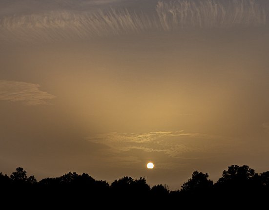 50049378747_42b6e32205_b