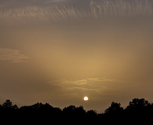 50049378747_42b6e32205_b