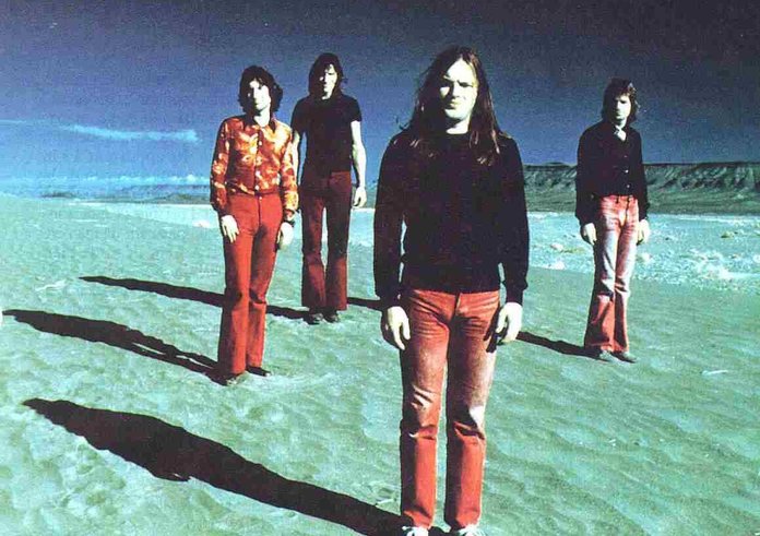 504879935_1249594399871175_4273767009353881428_n