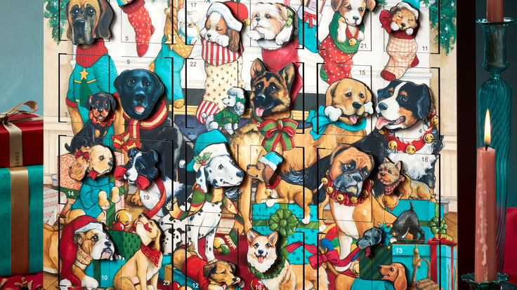 5119478_fmxmas25_dog_advent_calendar_mob_sq_a