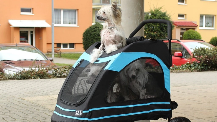 513-2_kocarek-pro-psy-pet-gear-at3-roadster-blue-3