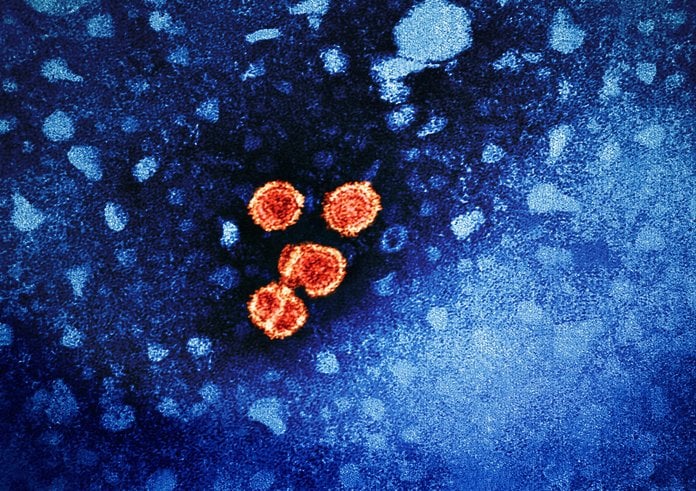 Virus žloutenky typu B.