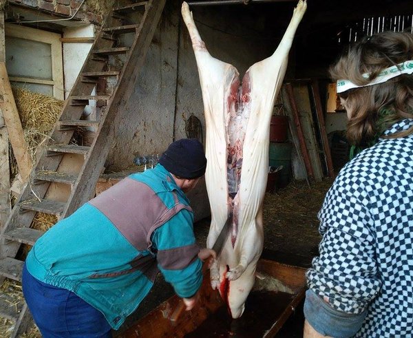 556843251_25113130058272486_948391705673851848_n