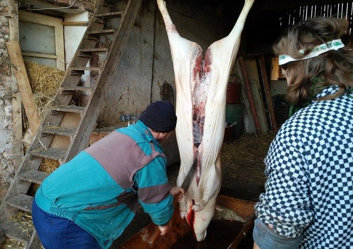 556843251_25113130058272486_948391705673851848_n