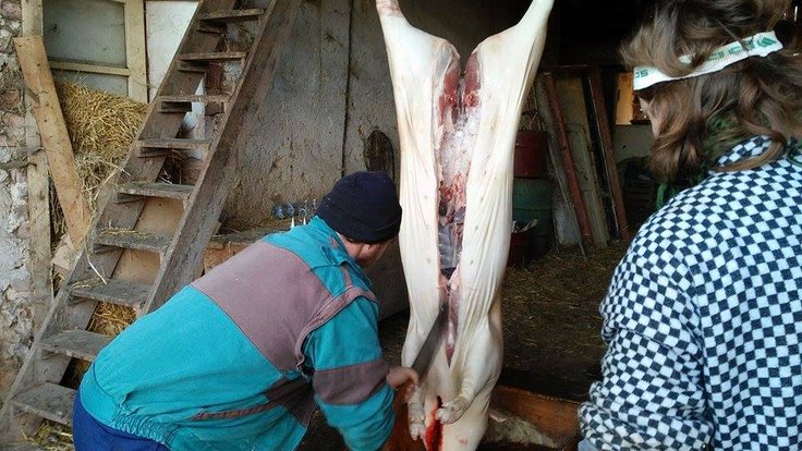 556843251_25113130058272486_948391705673851848_n