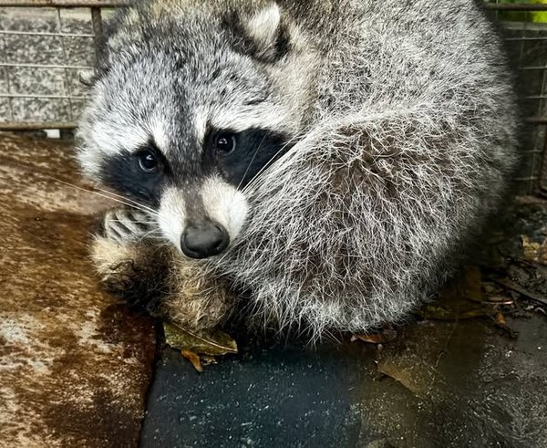 574575775_1259055996261538_169178081263298775_n