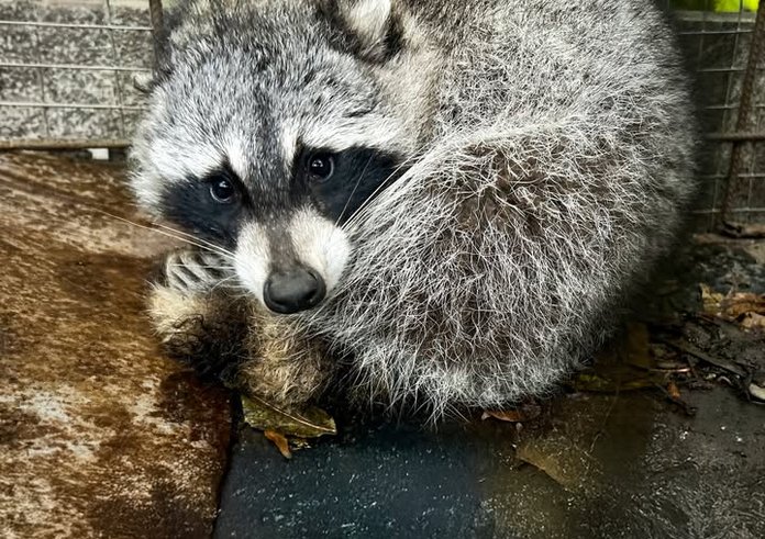 574575775_1259055996261538_169178081263298775_n