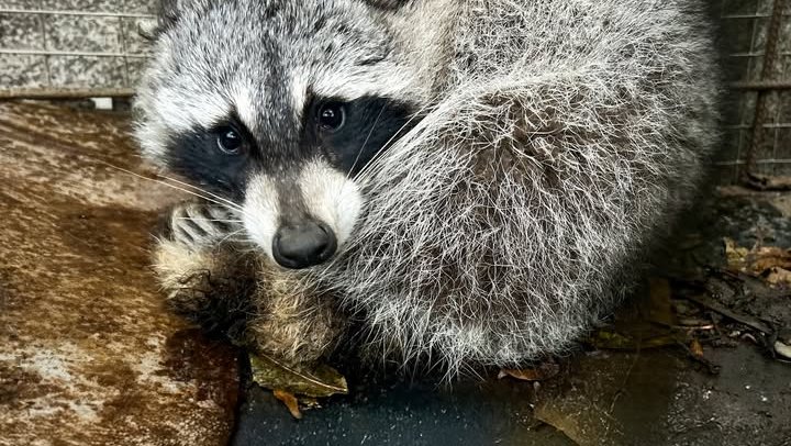 574575775_1259055996261538_169178081263298775_n