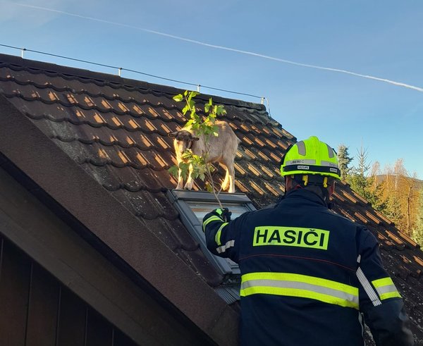 576913443_1298137428782178_6902900862025126495_n