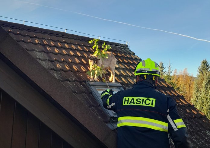 576913443_1298137428782178_6902900862025126495_n