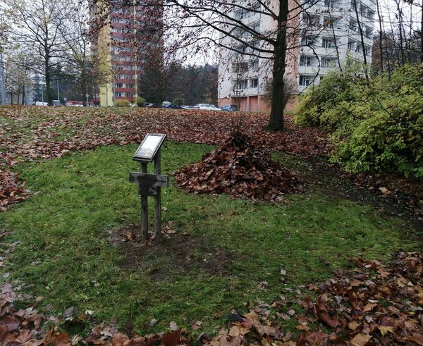 580685096_1251868926971361_1779892372901809033_n