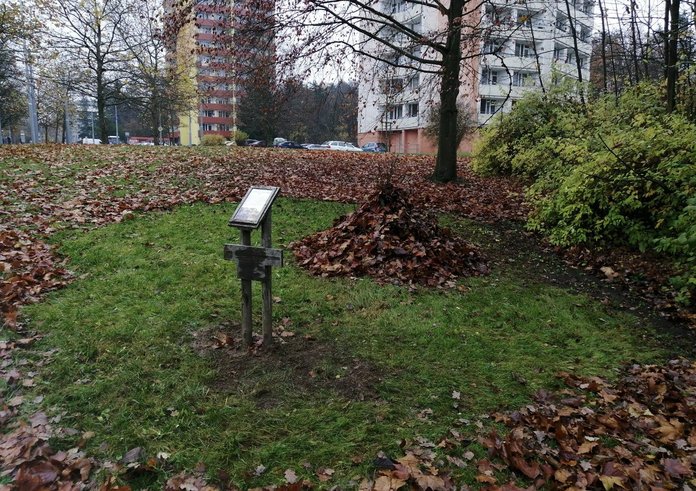 580685096_1251868926971361_1779892372901809033_n