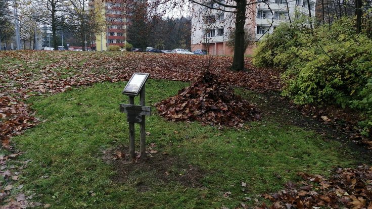 580685096_1251868926971361_1779892372901809033_n