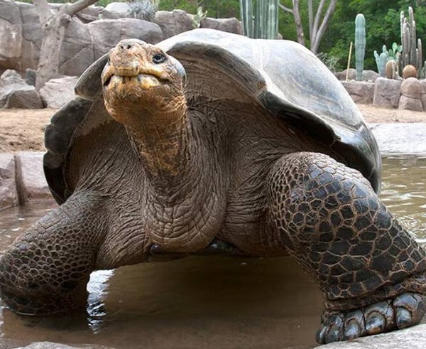 586339530_1282517203920624_4292383096688390732_n