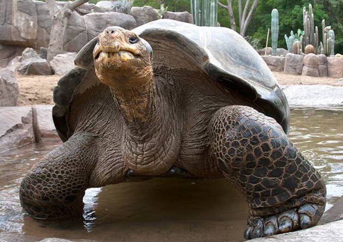 586339530_1282517203920624_4292383096688390732_n