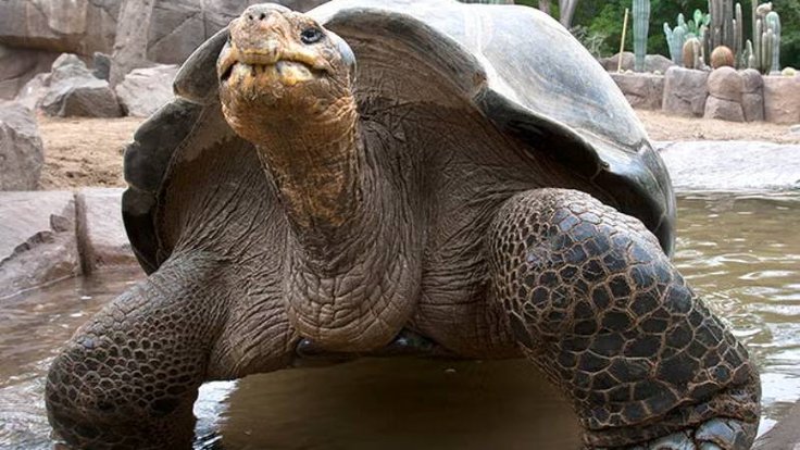 586339530_1282517203920624_4292383096688390732_n